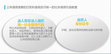 《厦门经济特区社会信用条例》深度解读 为社会经济咨询服务业注入新动能