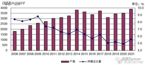 2021年中国小麦种植产业分析及其对经济与社会的影响